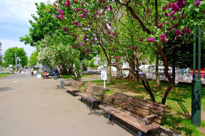 Flowers and benches at Odori Park