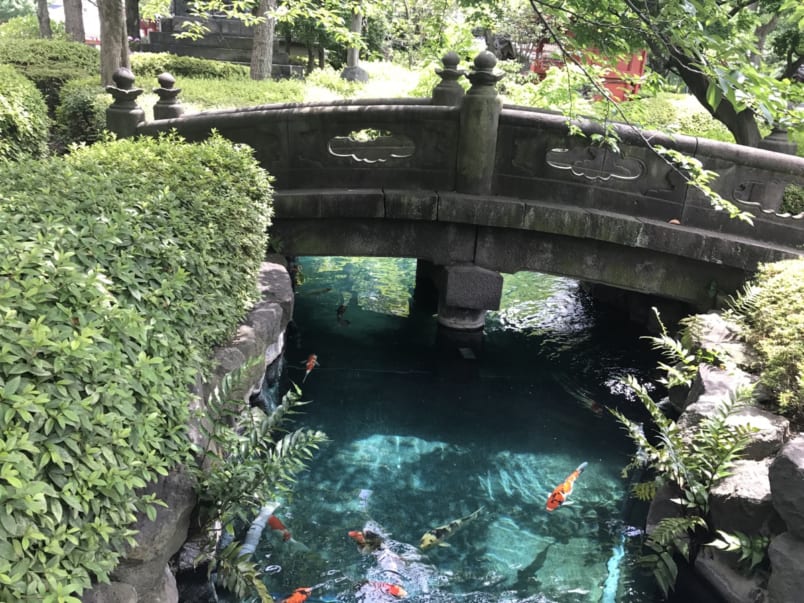 a stone bridge and pond with koi fish