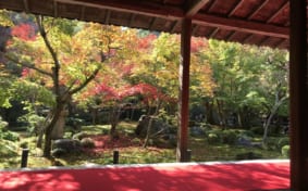 Enkoji temple garden with autumn colors