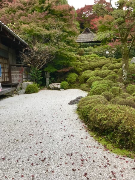 Konpukuji temple grounds with gravel path, in Kyoto