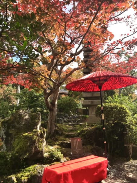 Bench seating in front of moss-covered rocks with red maple leaves above