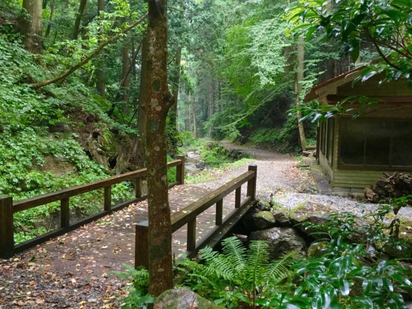 small wooden bridge and building in the forest