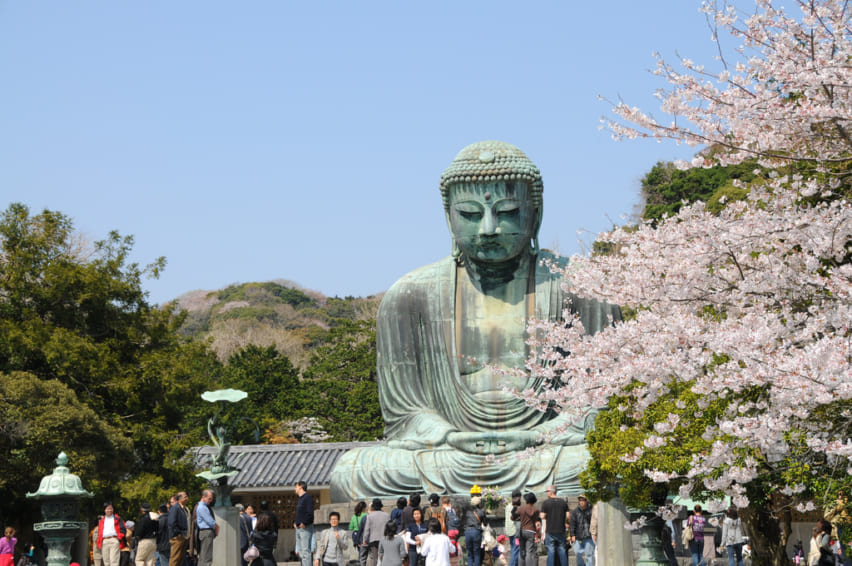 Kotokuin Daibutsu Great Buddha in spring