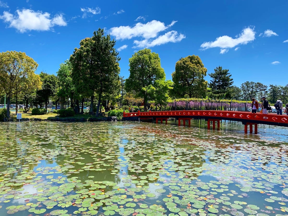 Lake covered in lily pads at Tennogawa Park