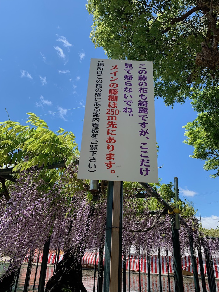 Sign in front of the small wisteria display