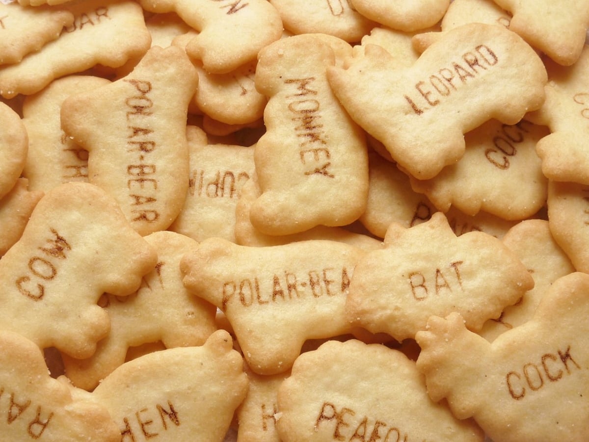 Close up of Tabekko animal crackers