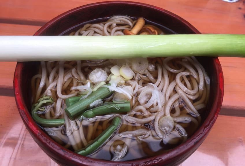 Soba noodles with leek