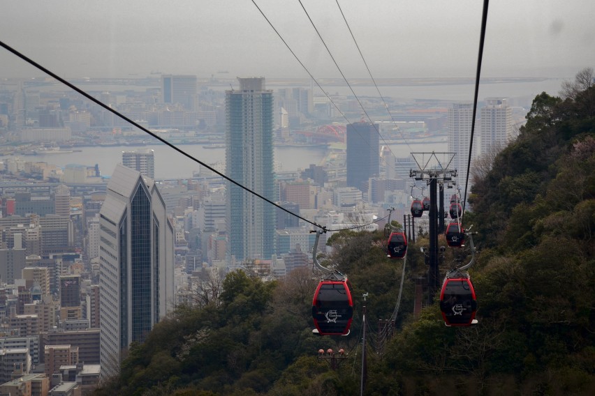 9929607165_24e3383ef7_k