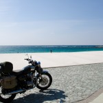 Wakayama: Sun, Sea and... Pandas??