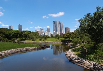 Hamarikyu Gardens : A Haven of Peace in the Middle of Tokyo