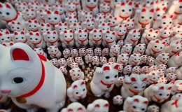 Happy Cat, Lucky Cat: Maneki Neko Welcome You to Japan