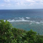 20 reasons to visit Okinawa!