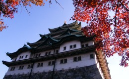 Chrysanthemum Doll Shows and Autumn Colors