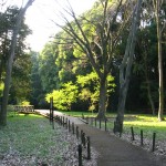 Higashitakane Forest Park in Kanagawa