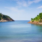 Yononakazakura: Japan’s Ancient Almanac