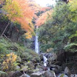 Discover Japan's Fountain of Youth at Yoro Falls