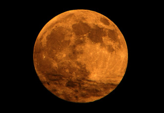 Japanese Moon Festival: What is on the Surface?