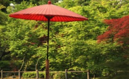 Kyoto Temples and Philosopher’s Walk