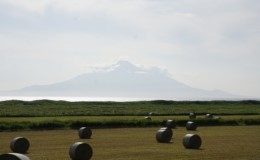 Homotsuden: The Treasure Museum of the Meiji Era