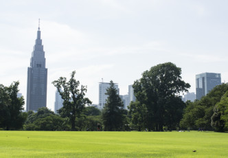 How to Get to Shinjuku Gyoen
