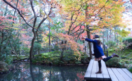 Kyoto Covered in Red & Yellow