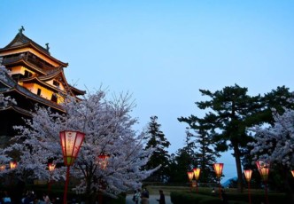 Matsue Castle: A City's National Treasure