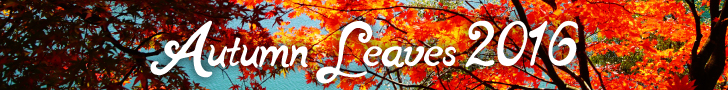 Autumn Leaves 2016
