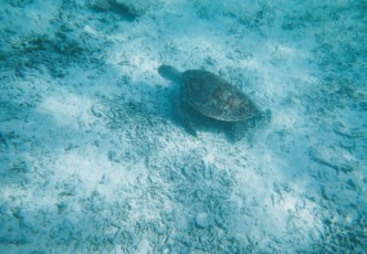 The Top 3 Spots for Island Hopping on Okinawa