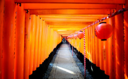 Distinguishing between Japanese Shrines and Temples