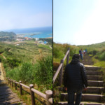 Tonaki-jima Island: The 400 Residents Paradise