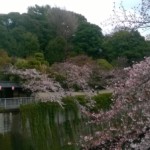 A Day in Waseda