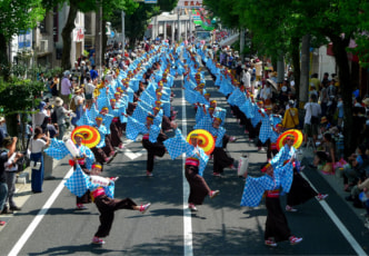 15 Things to Do and See in Kochi City