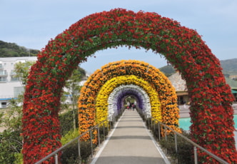 Lagunasia: Aichi's Amusement Park and Flower Garden