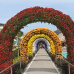 Lagunasia: Aichi's Amusement Park and Flower Garden