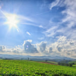 15 Things to Do in Hokkaido