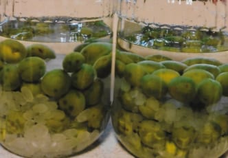 Making Homemade Umeshu (Plum Liquor)