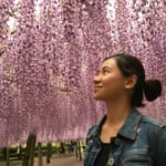 Top 10 Reasons Why You Should Visit Kitakyushu