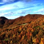 Fall Foliage and Hiking in Yamagata: A Palette of Beauty