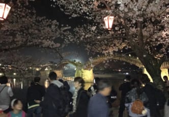 Hanami in Kintaikyo