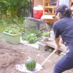 5 Must-do Summer Activities in Japan