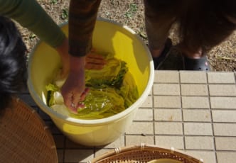 Japanese Pickles Right at Home: How to Make Tsukemono