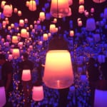 Exploring the Mori Building Digital Art Museum: Epson teamLab Borderless