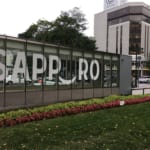 15 Things to Do in Sapporo