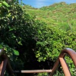 Going up Mt. Kofuji on Hahajima (Ogasawara)