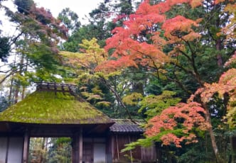 Discovering Kyoto’s Hidden Autumn Treasures – And Avoiding the Crowds