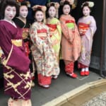 Inexpensive Maiko Encounters and Kimono Cosplay in Kyoto