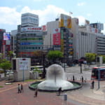 A Nostalgic Visit to an Old Home: Return to Okayama