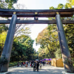 6 Must-Visit Shrines and Temples in Tokyo