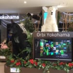 Orbi Yokohama – Experiencing and Learning About Nature, All in One