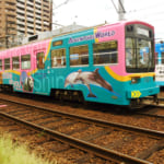 Taking it Slow – Osaka to Tokyo by Local Trains